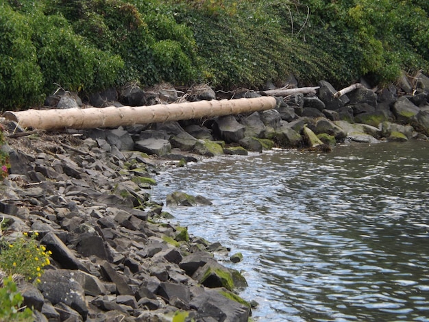 Foto log en la orilla rocosa del río