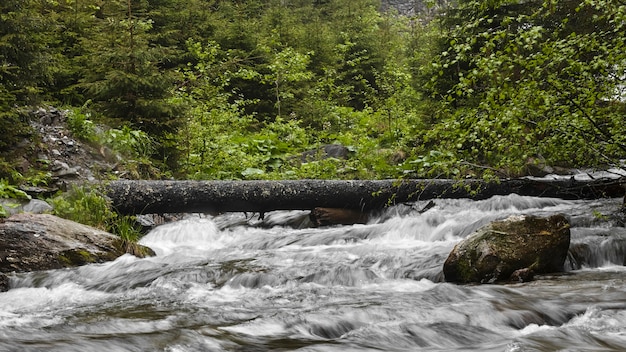 Log über dem Fluss Langzeitbelichtung