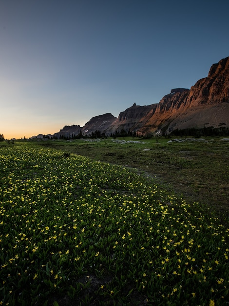 Foto logan pass trail sonnenuntergang am glacier national park