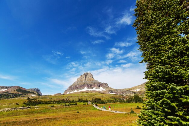 Logan Pass