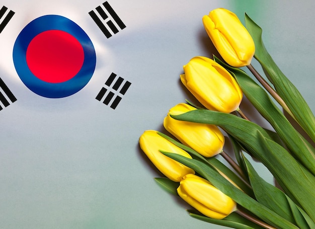 logotipo da coreia