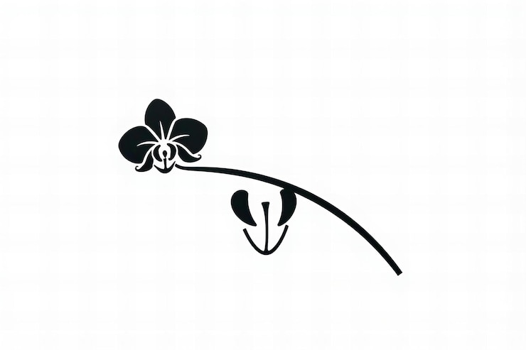 Foto logotipo de flor de orquídea en estilo de arte de línea simple