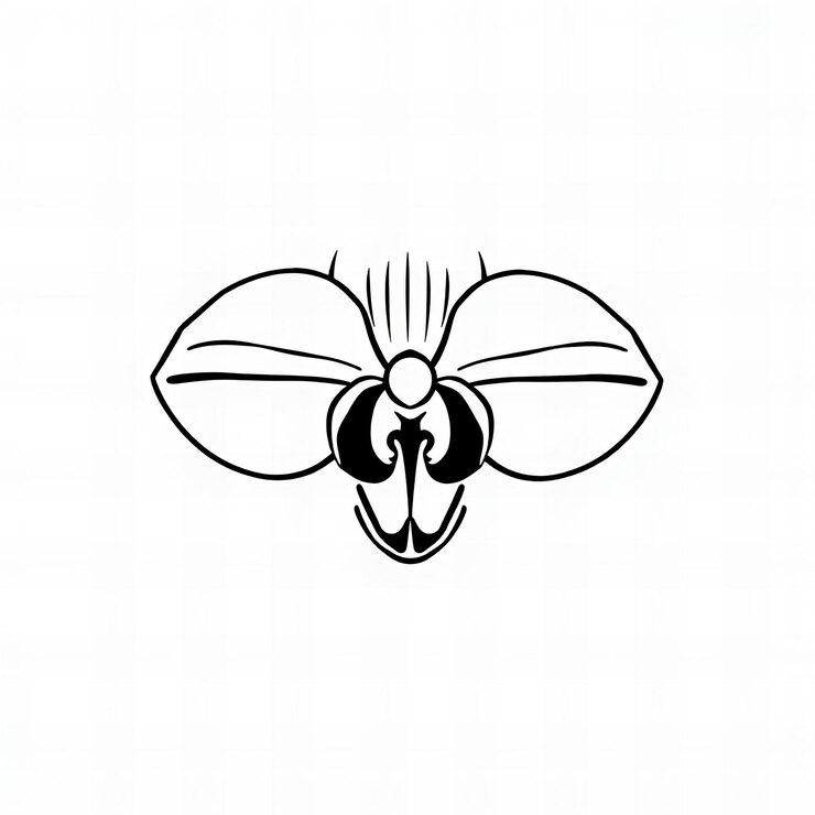 Foto logotipo de flor de orquídea en estilo de arte de línea simple