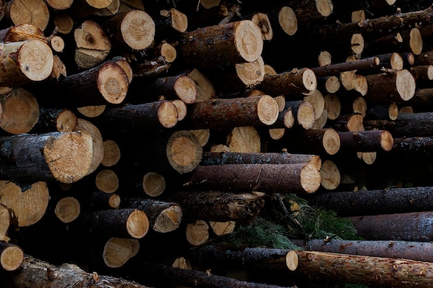 Logs de casa de log fecham a serraria