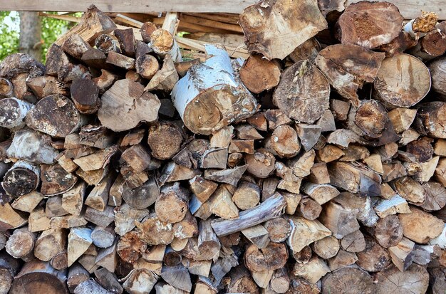 Logs de madeira naturais serrados como fundo vista superior colocado plano
