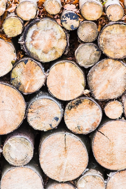 Logs de madeira ordenadamente empilhados como pano de fundo e textura natural