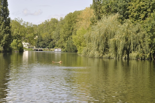 Le Loing en Moret sur Loing