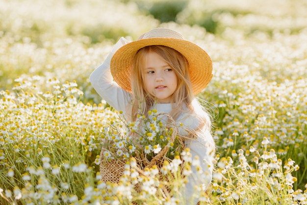 Loira linda com um vestido de algodão e chapéu de palha caminhando em um campo de margaridas e coletando-os na cesta