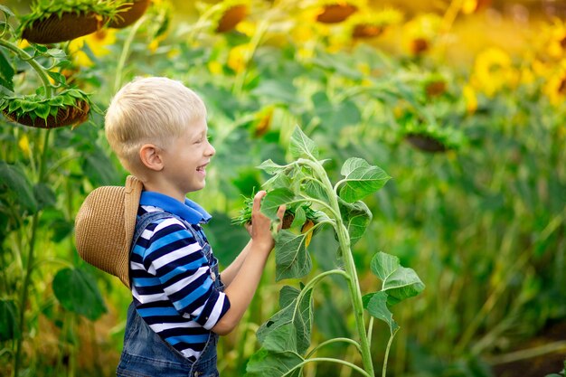 Loiro menino feliz sentado em um campo com girassóis no verão
