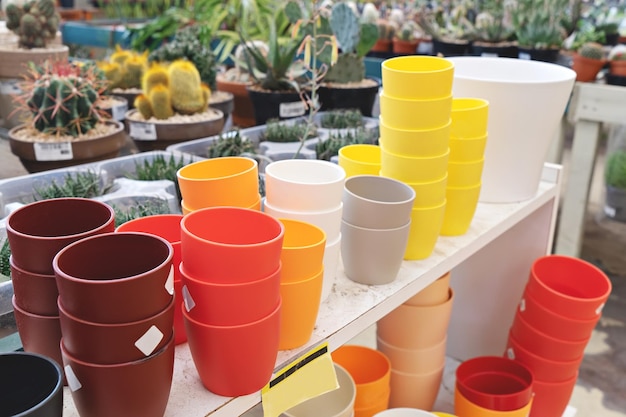 Loja de jardinagem fica com vasos de flores coloridas