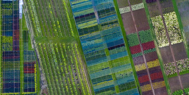 Foto loja ou viveiro de plantas ornamentais. visão de drone