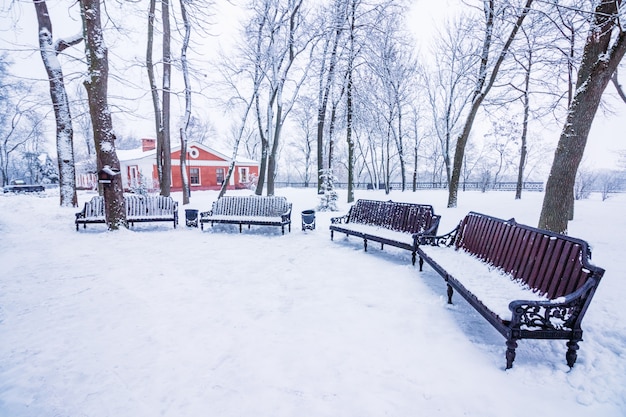 Lojas na neve no parque da cidade