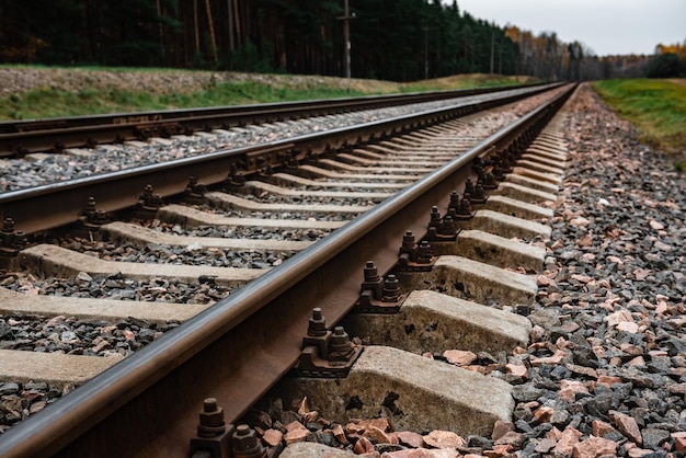 Lokalbahn mit der asphaltierten Straßenüberquerung in einer Landschaft.