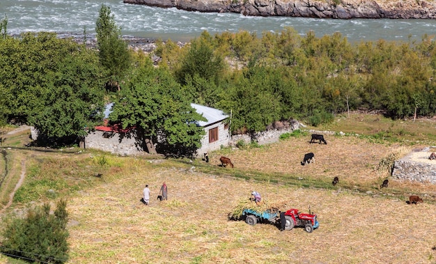 Lokale Bauern, die auf dem Feld in der Nähe ihres Hauses im Tal in der Nähe des Flusses arbeiten