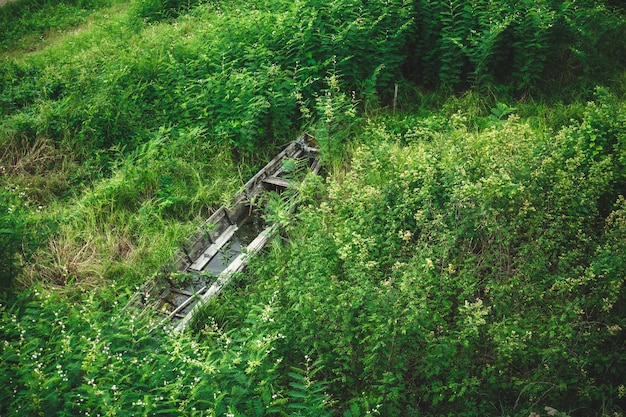 Lokale Site von Thailand, grüne Naturfeldlandschaft