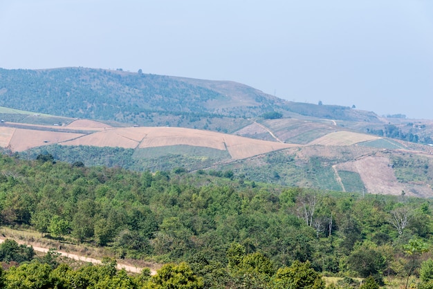 Lokales Ackerland auf dem hohen Berg.