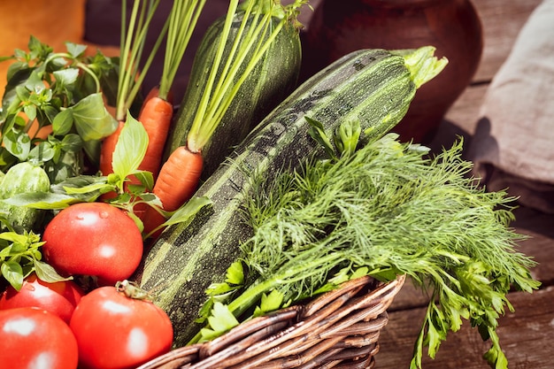 Lokales Bauerngemüse in einem Korb Tomaten Gurken Zucchini Karotten Petersilie Dill und Basilikum