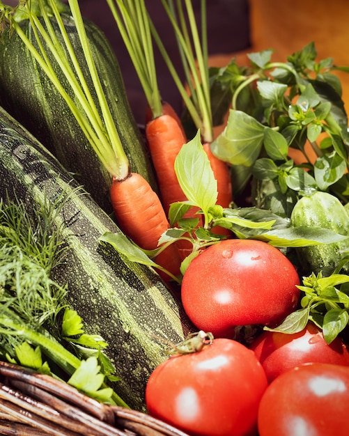 Lokales Bauerngemüse in einem Korb Tomaten Gurken Zucchini Karotten Petersilie Dill und Basilikum