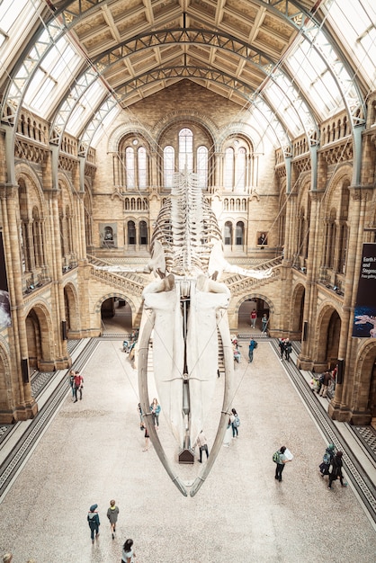 LONDON 4. SEPTEMBER 2019. Menschen besuchen das Natural History Museum in London.