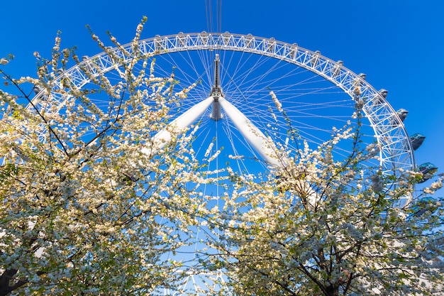 London Eye