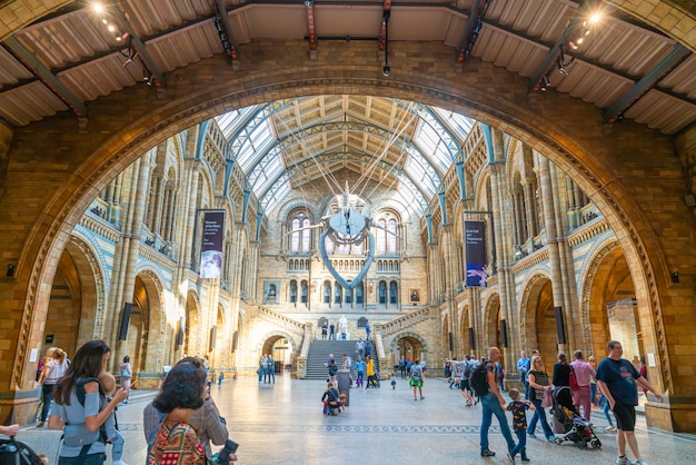LONDRES - 4 DE SETEMBRO DE 2019. Pessoas visitam o Museu de História Natural de Londres.