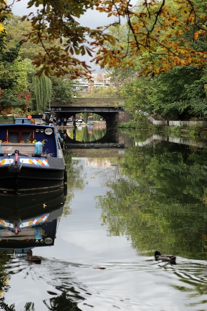 Londres, pato y narrowboat en el Regent&#39;s Canal
