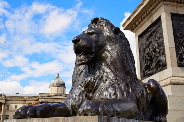 Londres Trafalgar Square Lion en Reino Unido