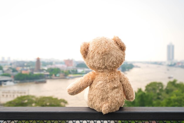 Foto lonely teddy bear sentado ao rio. (rio chao phraya na cidade de banguecoque)