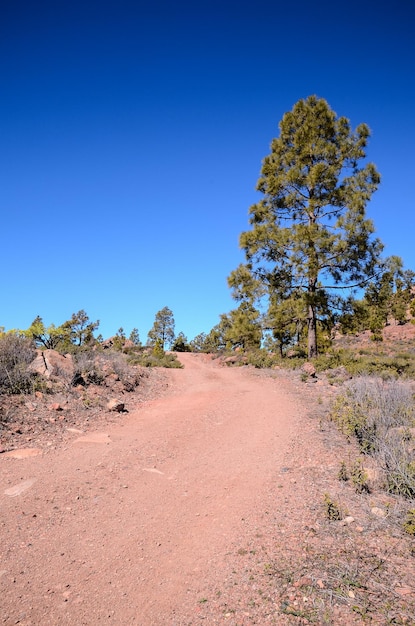 Long Straight Dirt Desert Road desaparece en el horizonte en Gran Canaria España