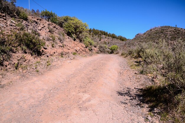 Long Straight Dirt Desert Road desaparece en el horizonte.