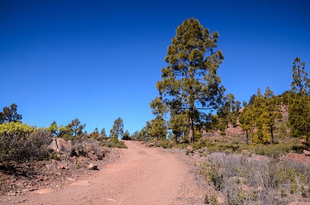 Long Straight Dirt Desert Road desaparece no horizonte em Gran Canaria Espanha