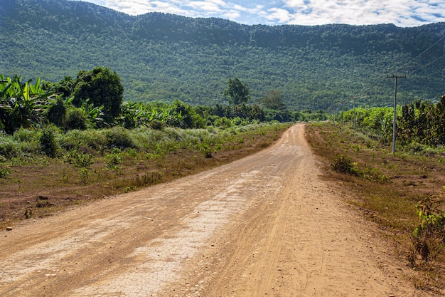 Longa estrada cercada por árvores e altas montanhas cobertas de verdes