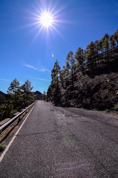 Longa Estrada Solitária