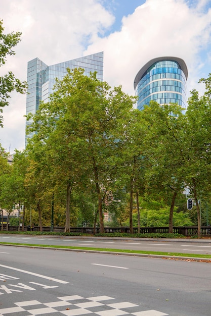 Longa fileira de árvores ao longo de um caminho em um parque em bruxelas, bélgica