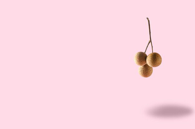 Longan auf einem rosa Hintergrund