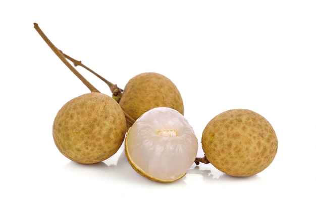 Longan carcasa de concha sobre fondo blanco.