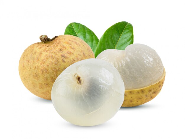 Longan com folha em branco