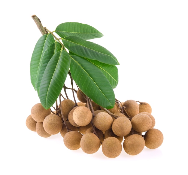 Longan isolado no branco