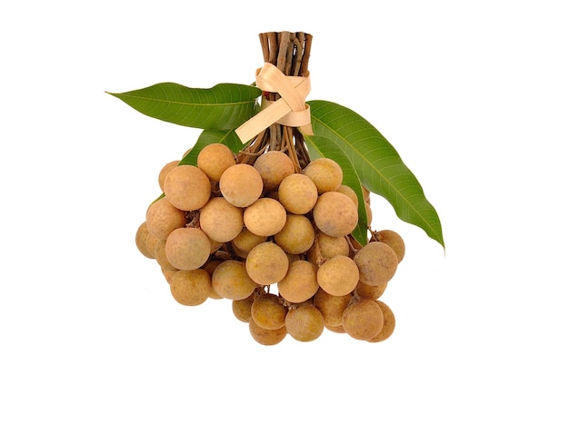 Longan longan fresco en el fondo