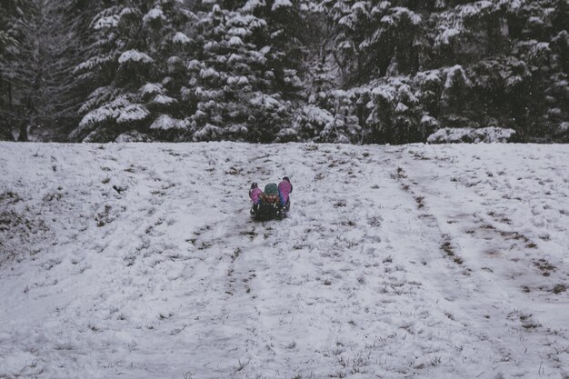 Foto la longitud completa de la chica sentada en el trineo en la nieve