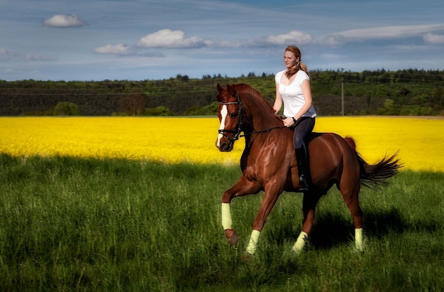 longitud completa de una mujer joven montando a caballo en el campo
