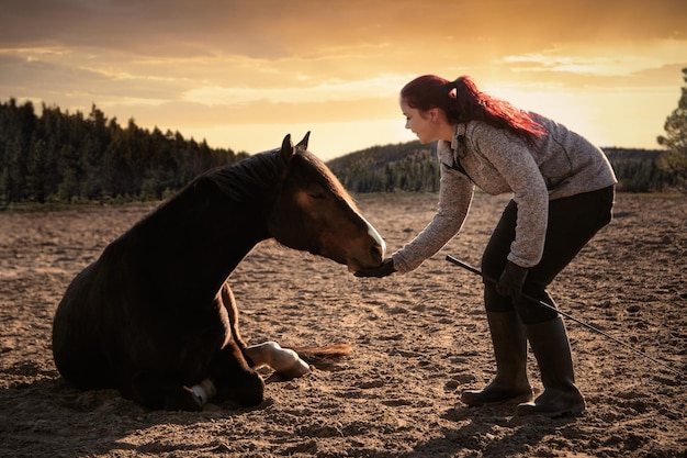 Foto la longitud completa de la mujer tocando el caballo en el campo contra el cielo