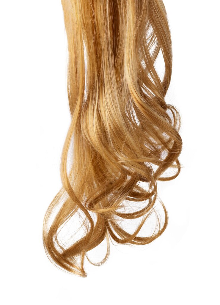 Foto longo cabelo encaracolado loiro dourado isolado no fundo branco. uma parte do cabelo loiro para design