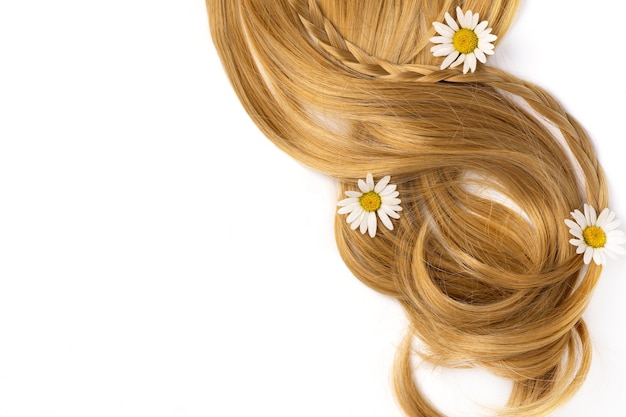 Longo cabelo loiro dourado encaracolado com camomila isolado no fundo branco