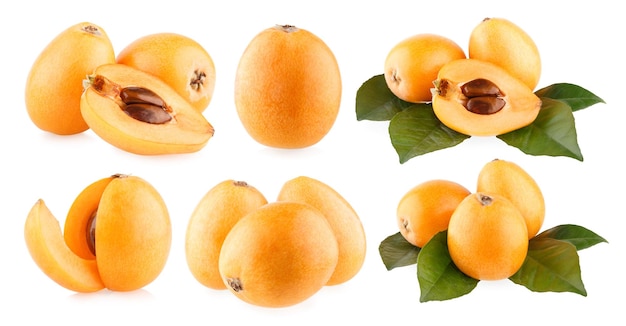 loquats