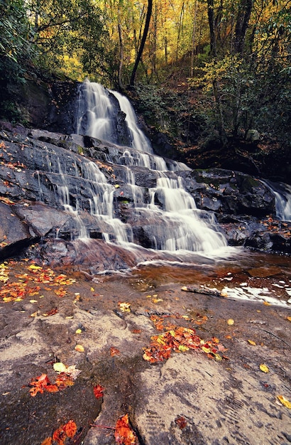 Lorbeer Wasserfall