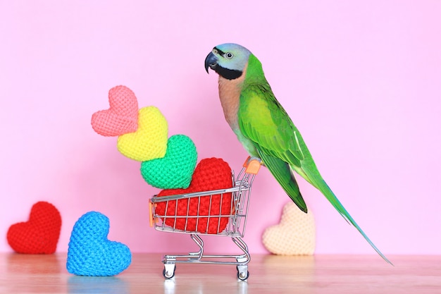 Loro en carrito de la compra en miniatura modelo y colorido del corazón de ganchillo hecho a mano para el día de San Valentín