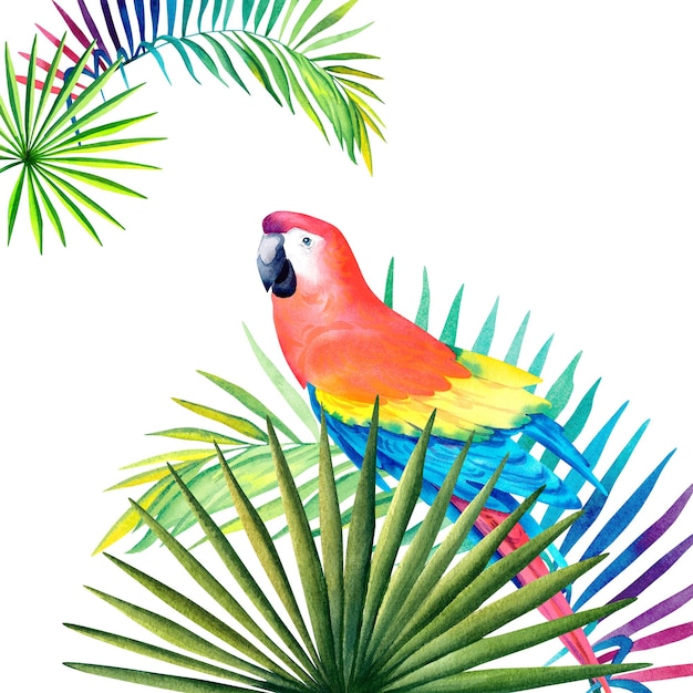 Loro guacamayo en la selva tropical Monstera Rama de palma Composición tropical ilustración acuarela sobre un fondo aislado
