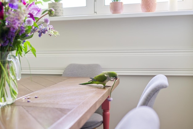 Loro mascota quaker verde y ramo de flores sobre la mesa