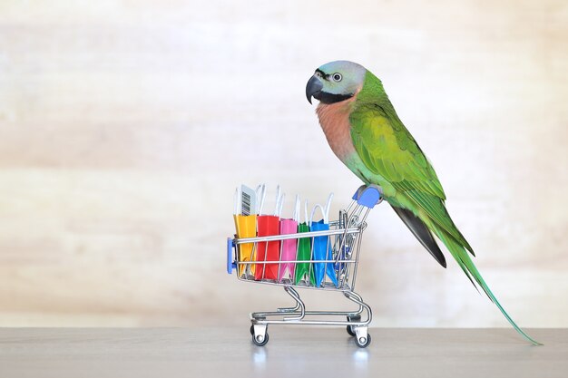 Foto loro en modelo de carrito de compras en miniatura y bolso de compras en wooder